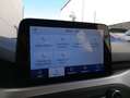 Ford Focus 1.5 Ecoblue Trend+ 120 Blanco - thumbnail 19