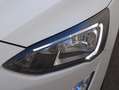 Ford Focus 1.5 Ecoblue Trend+ 120 Blanco - thumbnail 24