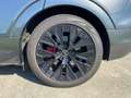 Audi Q8 e-tron Szürke - thumbnail 13