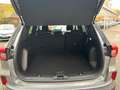 Ford Kuga Titanium 2,5l FHEV GJR+Winter-Paket+Fahrerassisten Argent - thumbnail 12