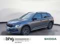 Skoda Kamiq 1.0 TSI DSG Navi AHK Kamera Kessy Virtual Grau - thumbnail 1