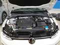 Volkswagen Golf Life 1.5 TSI Pano*RFK*PDC*Tempo*Klima*SH Weiß - thumbnail 5
