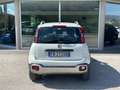 Fiat Panda CROSS 1.3 mjt 16v 4x4 80cv Bianco - thumbnail 3