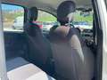 Fiat Panda CROSS 1.3 mjt 16v 4x4 80cv Bianco - thumbnail 14