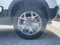 Fiat Panda CROSS 1.3 mjt 16v 4x4 80cv Bianco - thumbnail 15