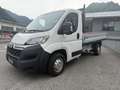 Citroen Jumper Jumper 33 ONNICAR CASSSONE FISSO (no clima) Bianco - thumbnail 5