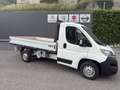 Citroen Jumper Jumper 33 ONNICAR CASSSONE FISSO (no clima) Bianco - thumbnail 2