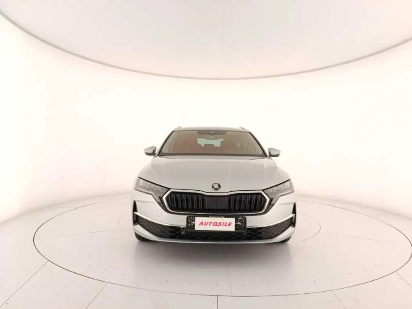 Skoda Octavia Wagon 2.0 TDI Executive Argento - 2