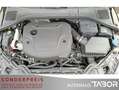 Volvo S60 Cross Country Cross Country D4 Geartr Summum ACC Kamera SD - thumbnail 13