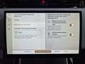 Land Rover Range Rover Evoque P200 Dynamic SE Panorama Grau - thumbnail 30