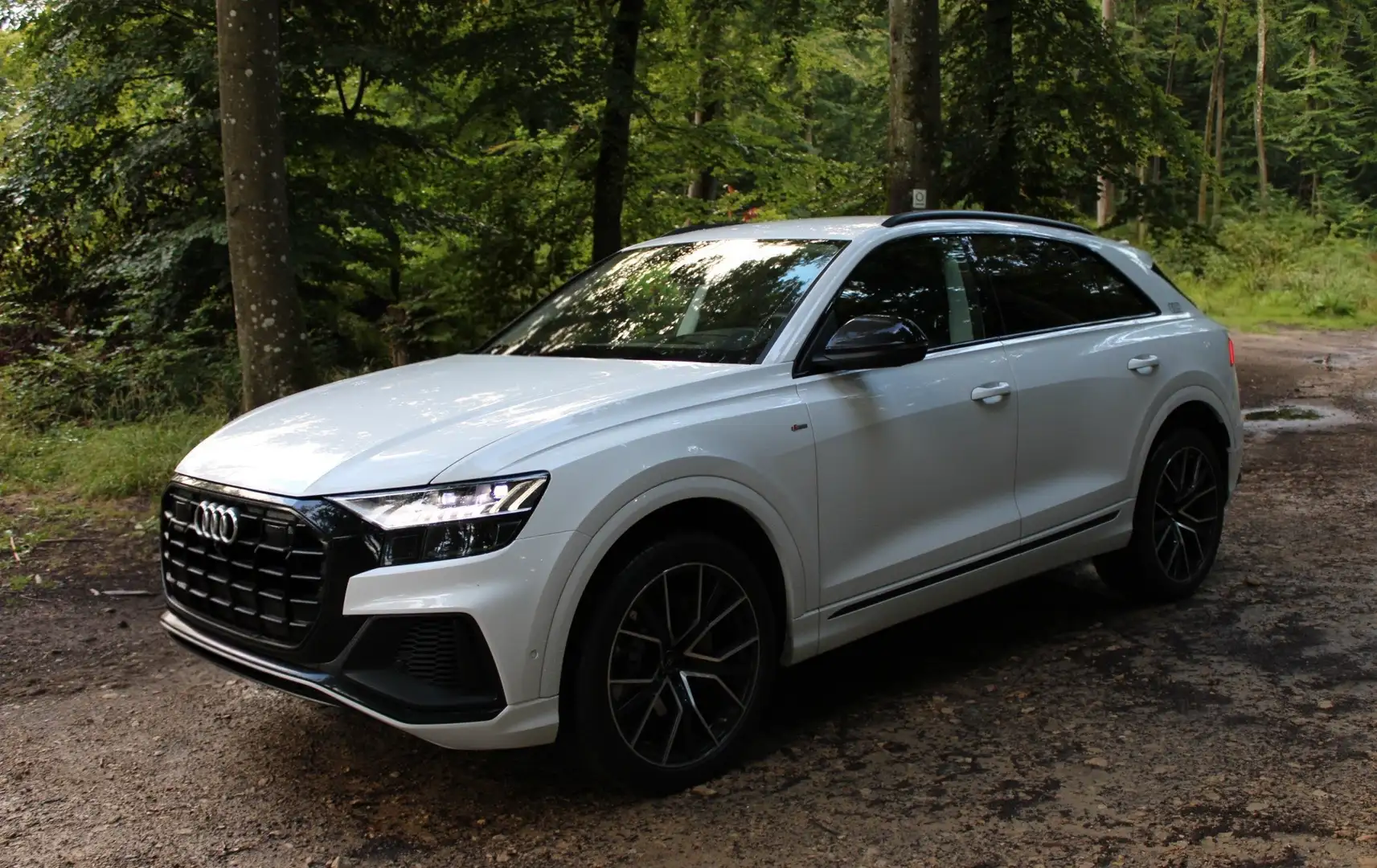 Audi Q8 50 TDI quattro tiptronic Blanc - 1