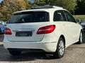 Mercedes-Benz B 180 TÜV NEU/Service NEU Weiß - thumbnail 11
