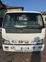 Isuzu NPR cassone fisso - thumbnail 2