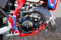 Beta RR 50 RR 50 Enduro Racing Rojo - thumbnail 4
