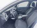 BMW 116 d Aut. Pano* PDC* SHZ* Weiß - thumbnail 11