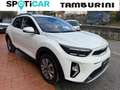 Kia Stonic Stonic 1.2 MPI Style Special Edition Bianco - thumbnail 1