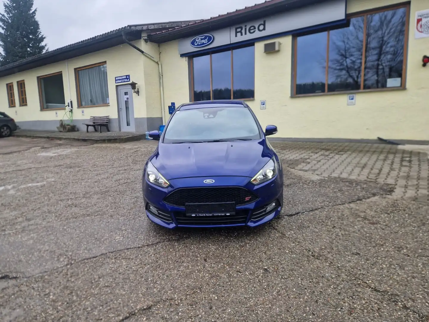 Ford Focus ST, P57A 09/26, Xenonlicht, Lenkradheizung Blau - 2