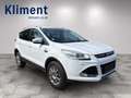 Ford Kuga 2,0 TDCi Titanium Weiß - thumbnail 4