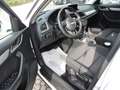 Audi Q3 Q3 2.0 TDI 150 CV quattro S tronic Design Bianco - thumbnail 12
