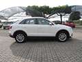 Audi Q3 Q3 2.0 TDI 150 CV quattro S tronic Design Bianco - thumbnail 4