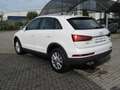 Audi Q3 Q3 2.0 TDI 150 CV quattro S tronic Design Bianco - thumbnail 6