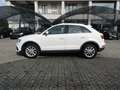 Audi Q3 Q3 2.0 TDI 150 CV quattro S tronic Design Bianco - thumbnail 7