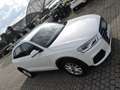 Audi Q3 Q3 2.0 TDI 150 CV quattro S tronic Design Bianco - thumbnail 3
