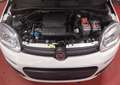 Fiat Panda 1.2 LPG * Airco* V/E *1 an Garantie * 220€ X 36 Blanc - thumbnail 11