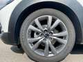 Mazda CX-30 2.0L Skyactiv-G 150 CV M Hybrid 2WD Executive Blanc - thumbnail 3