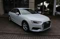 Audi A4 35 TDI S tronic S line~ 1 HAND Weiß - thumbnail 3