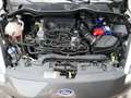 Ford Fiesta 1.0 Ecoboost Hybrid 125 CV 5 porte Connect Grigio - thumbnail 21