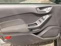 Ford Fiesta 1.0 Ecoboost Hybrid 125 CV 5 porte Connect Grigio - thumbnail 18