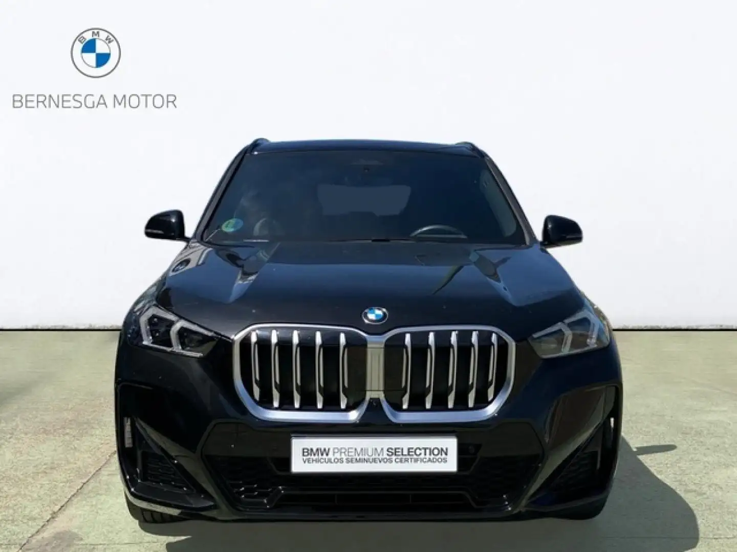 BMW X1 xDrive 20dA Negro - 2