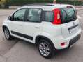 Fiat Panda Panda 4x4 1.3 mjt 16v 4x4 75cv neopatentati Wit - thumbnail 12