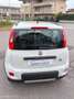 Fiat Panda Panda 4x4 1.3 mjt 16v 4x4 75cv neopatentati Wit - thumbnail 11