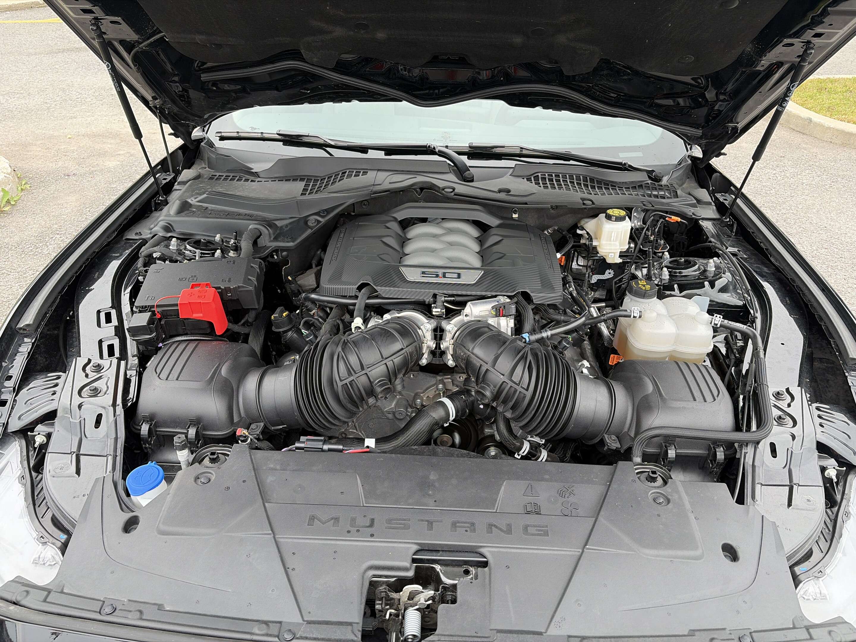 2026 Ford Mustang GT — photo 1