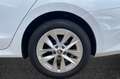 Skoda Octavia 2.0 TDI EVO SCR 150 CV DSG Wagon Style Bianco - thumbnail 13