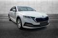 Skoda Octavia 2.0 TDI EVO SCR 150 CV DSG Wagon Style Bianco - thumbnail 2