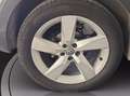 Volkswagen T-Cross 1.0 tsi advanced 115cv Bianco - thumbnail 12