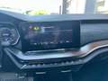 Skoda Octavia RS 2,0 TDI DSG *STANDHZ*AHV*APP*DIGITAL*ACC*PDC* Grau - thumbnail 20