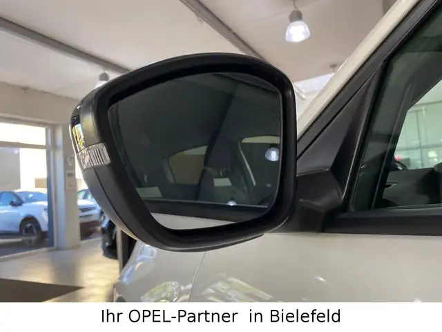 Opel Frontera view 9