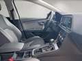 SEAT Leon 1,6 TDI Xcellence Aut.|ACC|DCC| Blau - thumbnail 20