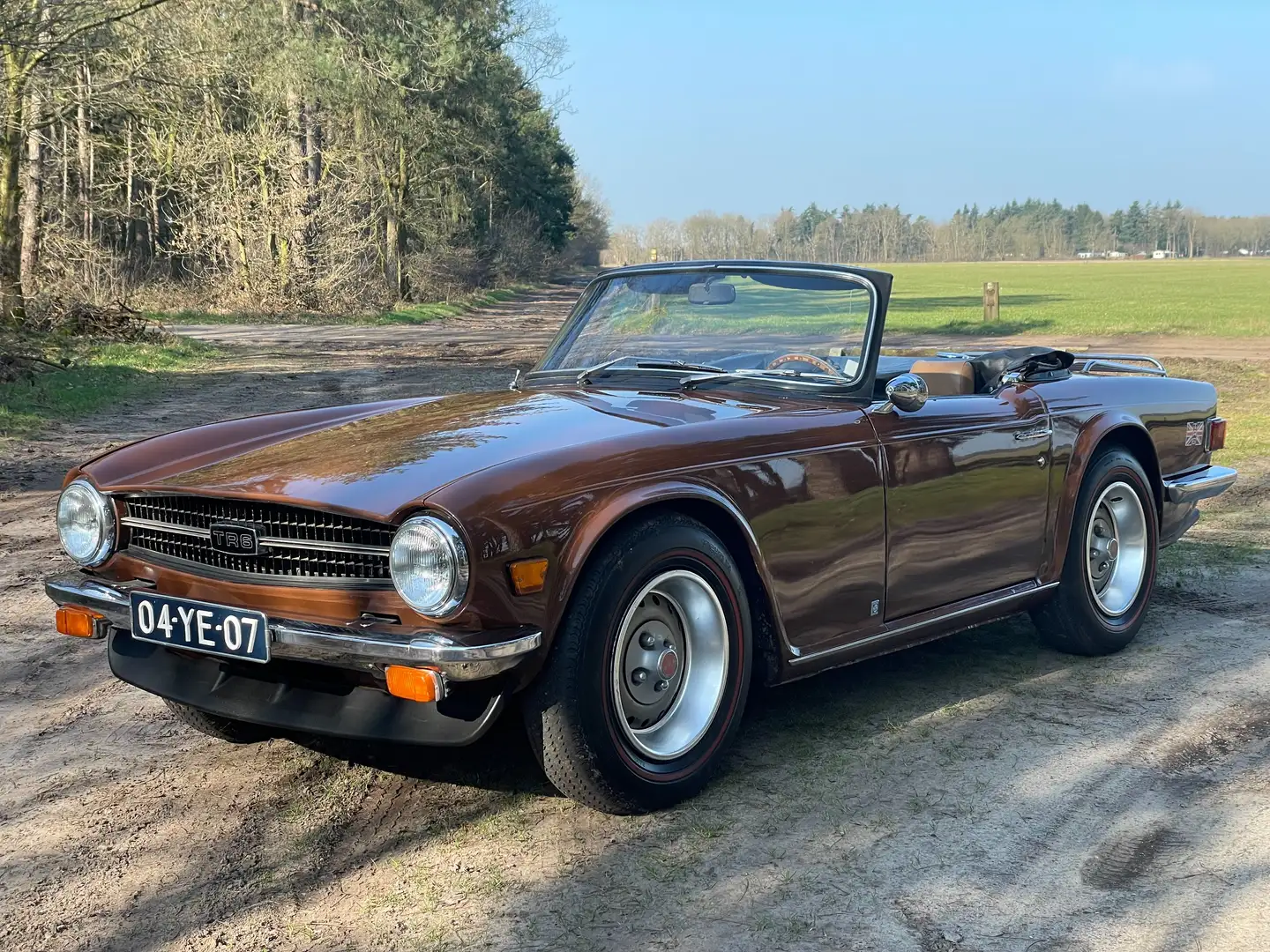 Triumph TR6 2.5 liter 6-in-lijn Bruin - 1