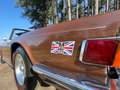 Triumph TR6 2.5 liter 6-in-lijn Bruin - thumbnail 21