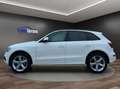 Audi Q5 2.0 TDI quattro S-LINE°1.HAND°ACC°PANO°KAMERA Weiß - thumbnail 8