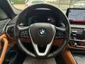 BMW 520 d xDrive Luxury Line 2.0/DSG/LASER/AHK/PANO Blauw - thumbnail 10