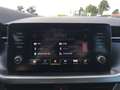 Skoda Kamiq Scoutline 1,0 TSI Grau - thumbnail 18