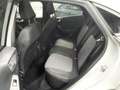 Ford Puma 1.0 EcoBoost Hybrid Titanium full option 1ste eige Gris - thumbnail 11
