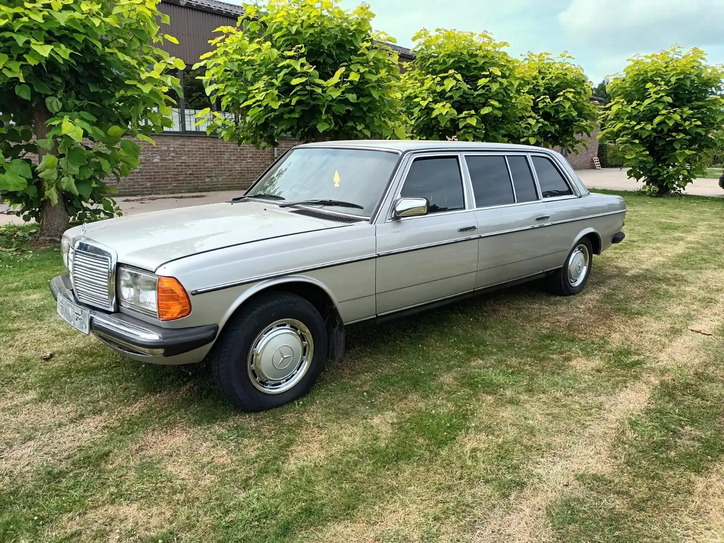 Mercedes-Benz 300 w123 300 lang / limo 8pl automaat RHD exclusief! Gris - 1