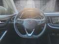 Opel Grandland X Premium "Innovation" Kamera/Voll-LED Zwart - thumbnail 12